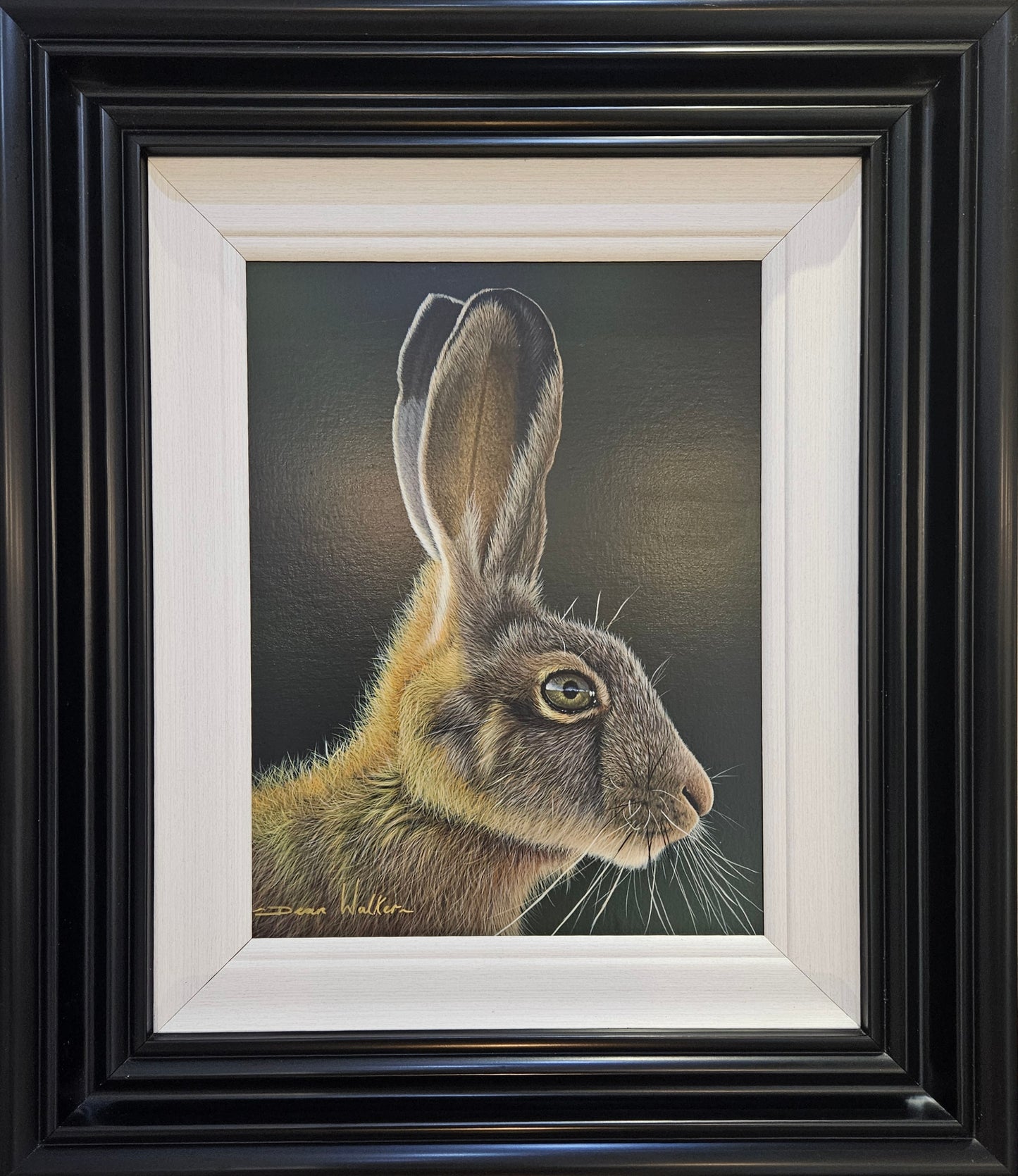 Hare by Dean Walker - The focus is on the hare's head and upper body, capturing its detailed fur, which is a mix of brown and gray tones.