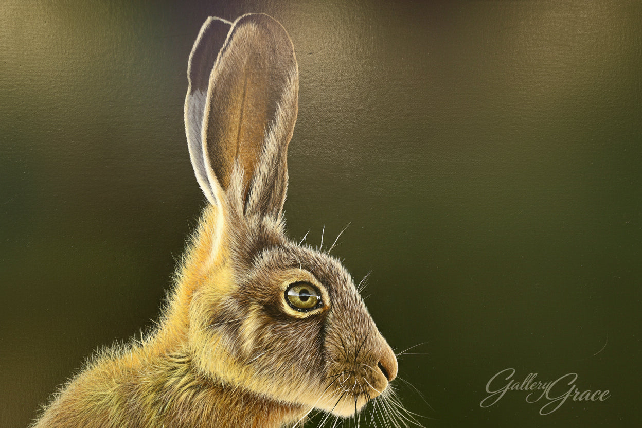 Hare by Dean Walker - The focus is on the hare's head and upper body, capturing its detailed fur, which is a mix of brown and gray tones.