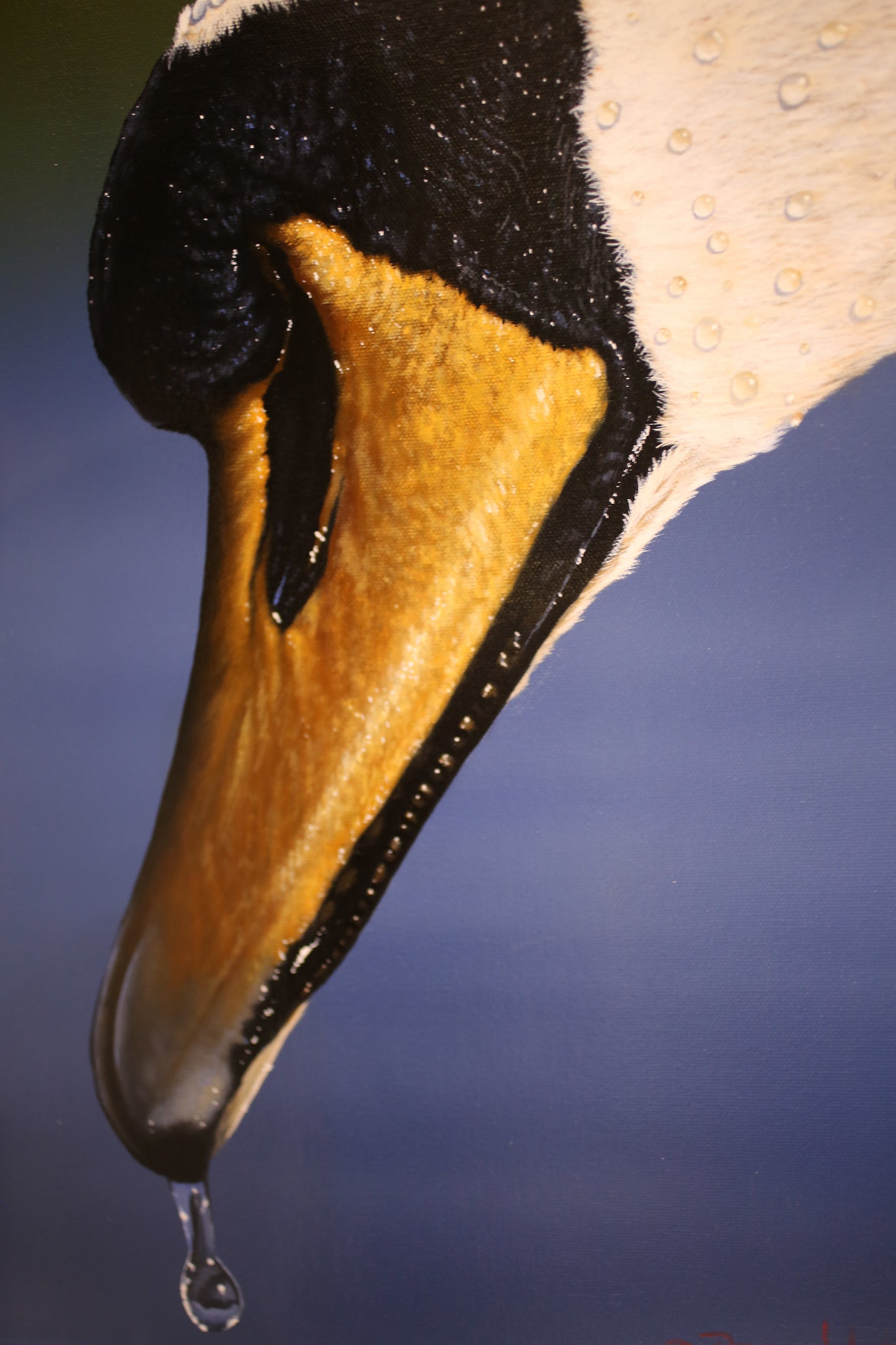 Swan by Dean Walker - The painting depicts a close-up of a swan's head, focusing on its beak and eye