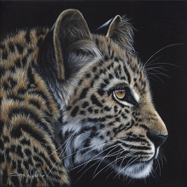 Leapard by Dean Walker - The leopard's fur is beautifully detailed, showcasing a variety of brown and black spots against a golden background
