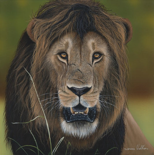 Lion by Dean Walker - Majestic painting of a lion in an exquisite technique in acrylics