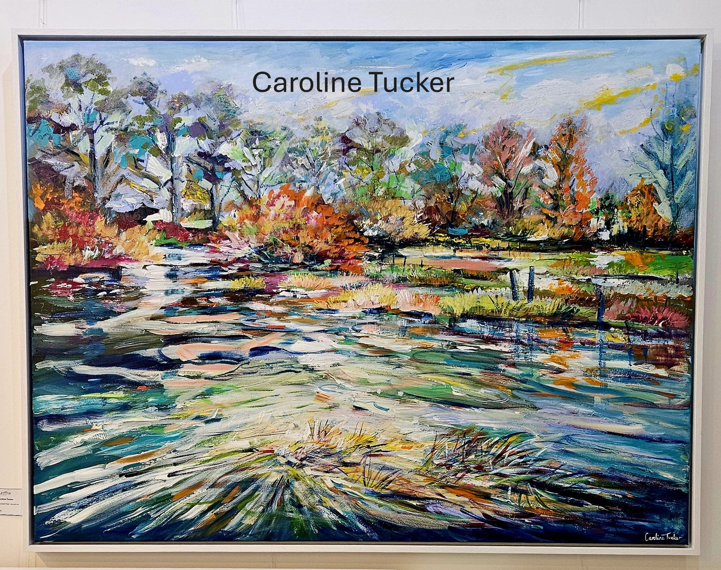 Flooded Field - Artist, Caroline Tucker