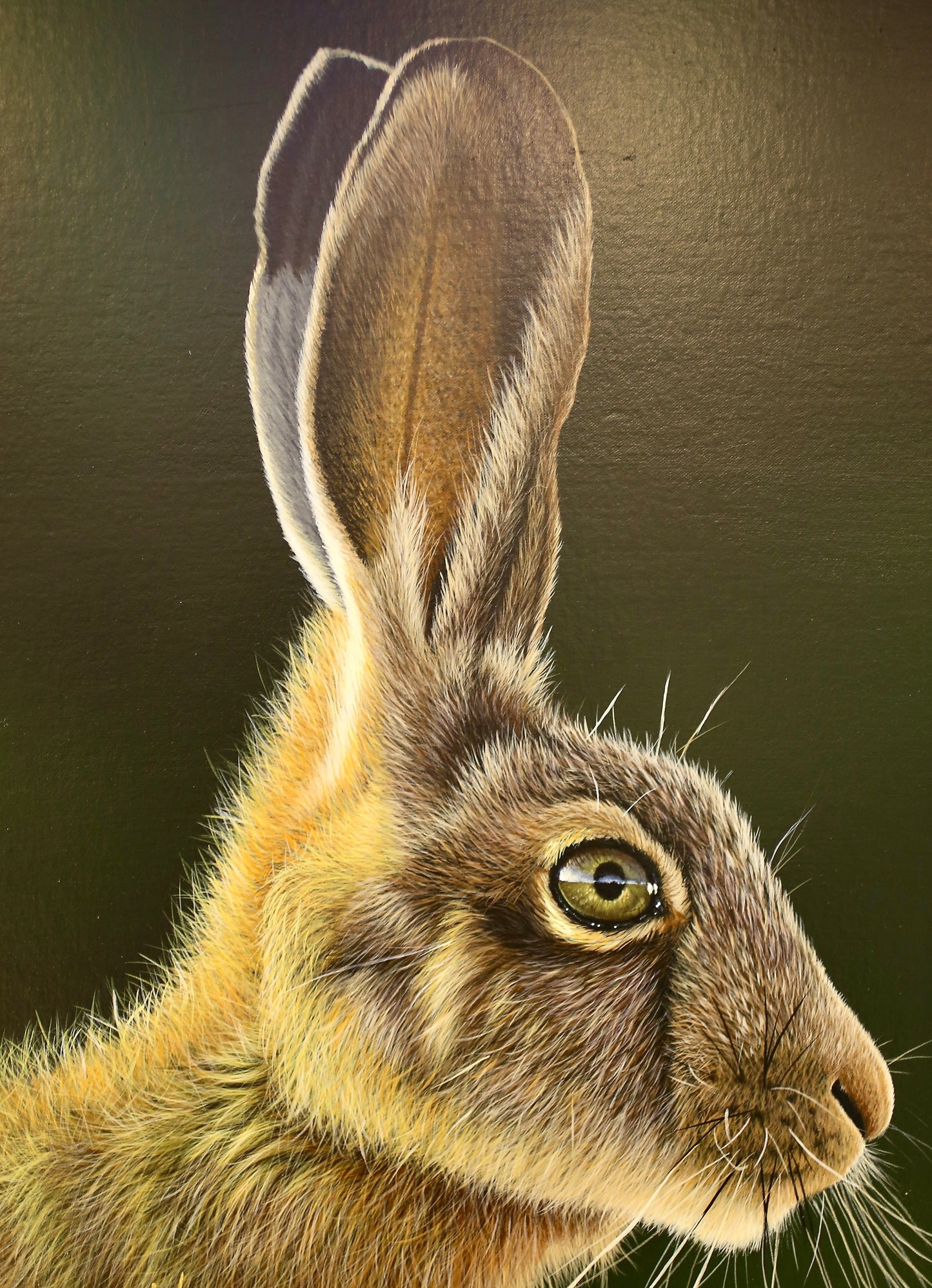 Hare by Dean Walker - The focus is on the hare's head and upper body, capturing its detailed fur, which is a mix of brown and gray tones.