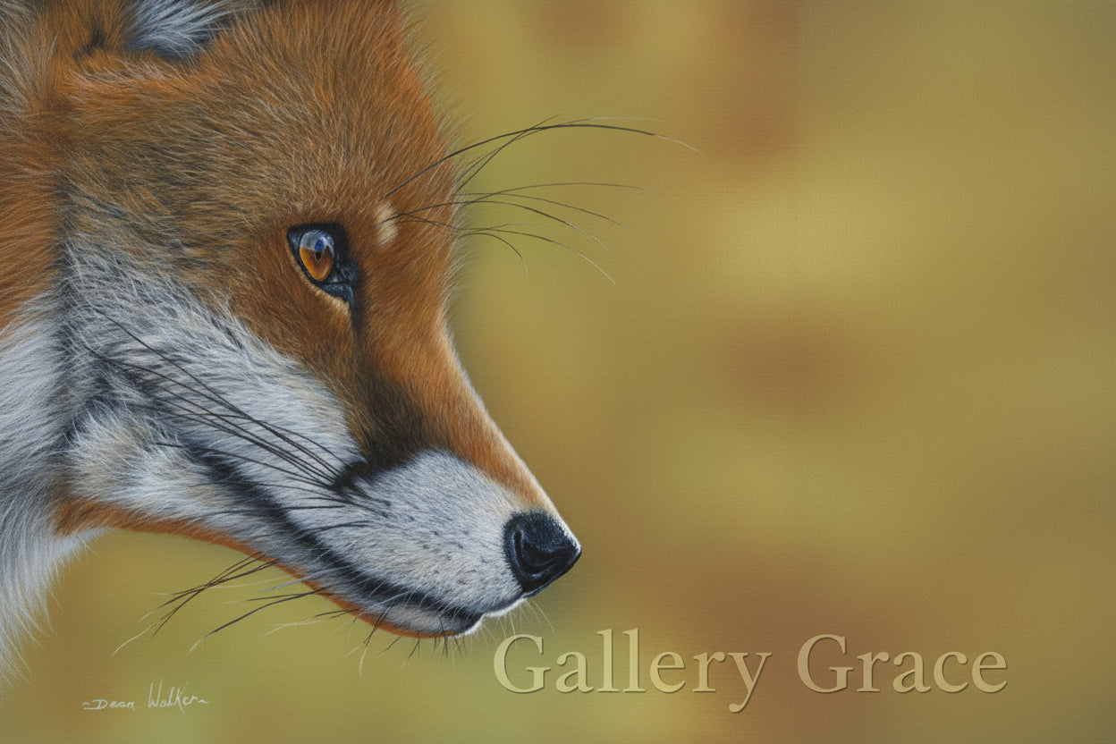Fox by Dean Walker