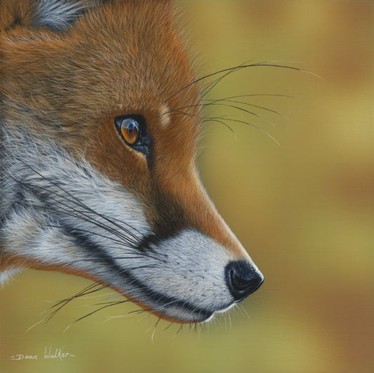 Fox by Dean Walker