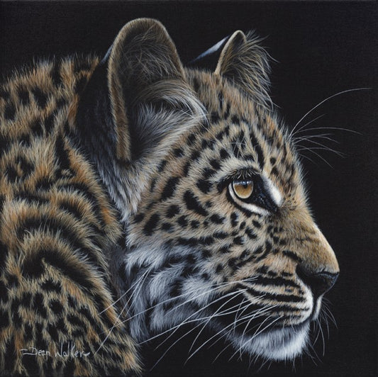 Leapard by Dean Walker - The leopard's fur is beautifully detailed, showcasing a variety of brown and black spots against a golden background