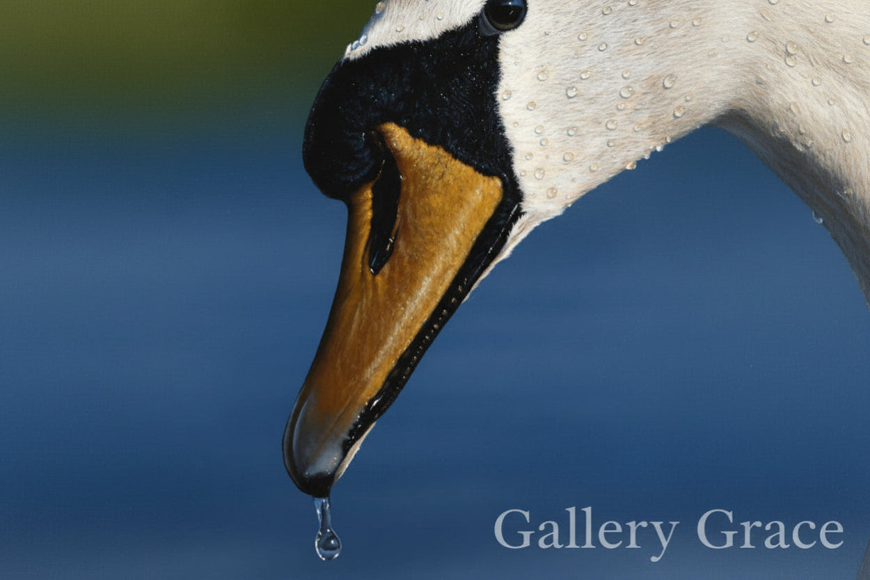 Swan by Dean Walker - The painting depicts a close-up of a swan's head, focusing on its beak and eye